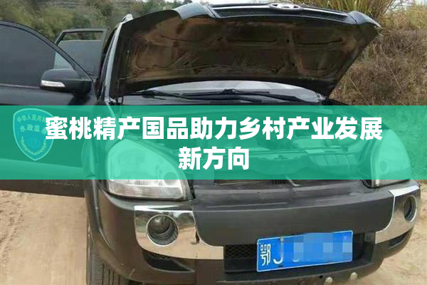 蜜桃精产国品助力乡村产业发展新方向
