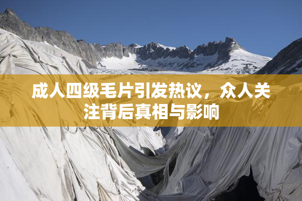 成人四级毛片引发热议，众人关注背后真相与影响
