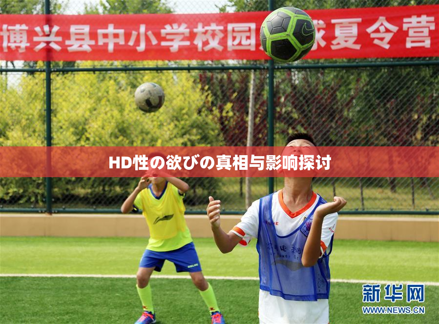 HD性の欲びの真相与影响探讨
