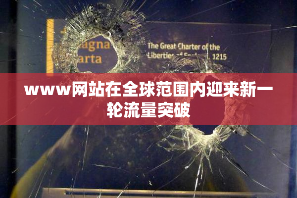 www网站在全球范围内迎来新一轮流量突破
