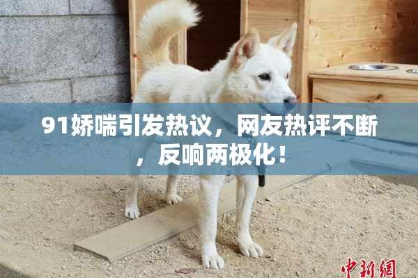 91娇喘引发热议，网友热评不断，反响两极化！