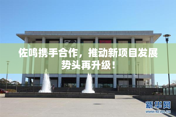 佐鸣携手合作，推动新项目发展势头再升级！