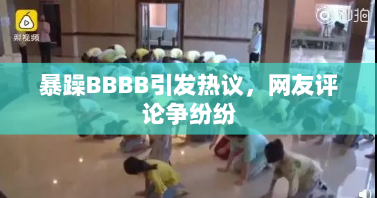 暴躁BBBB引发热议，网友评论争纷纷