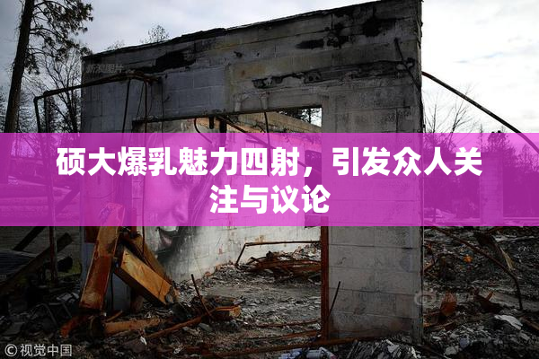 硕大爆乳魅力四射，引发众人关注与议论