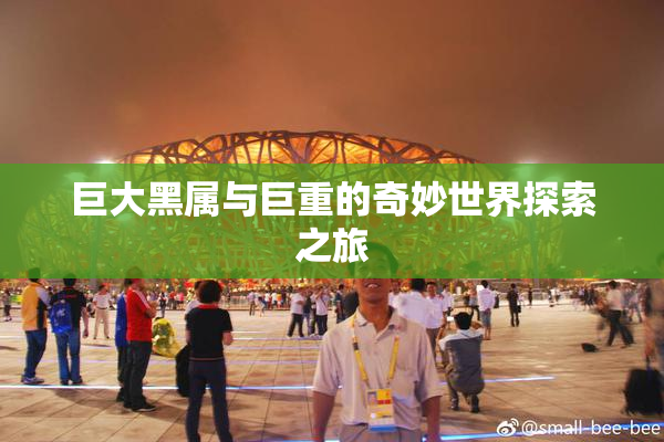 巨大黑属与巨重的奇妙世界探索之旅