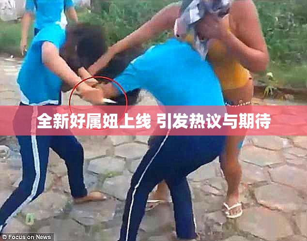 全新好属妞上线 引发热议与期待