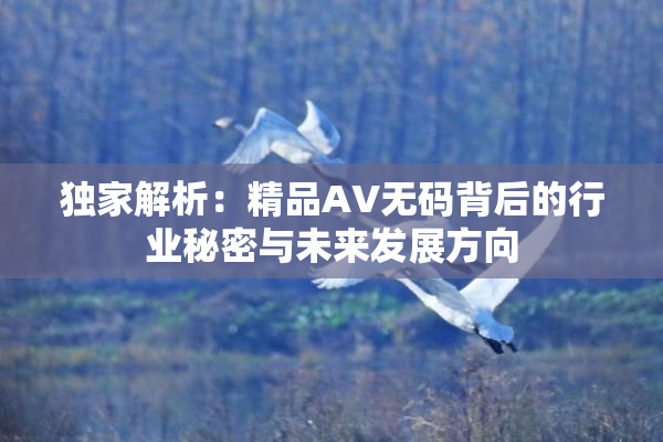 独家解析：精品AV无码背后的行业秘密与未来发展方向
