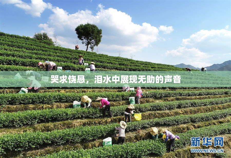哭求饶恳，泪水中展现无助的声音