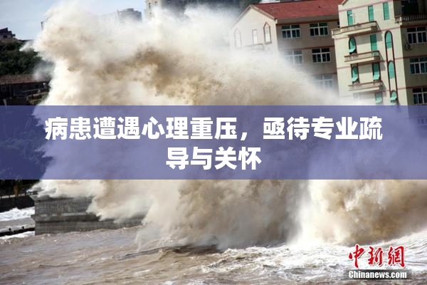 病患遭遇心理重压，亟待专业疏导与关怀