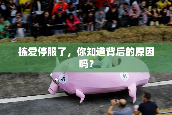 拣爱停服了，你知道背后的原因吗？