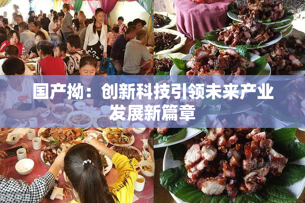 国产拗：创新科技引领未来产业发展新篇章