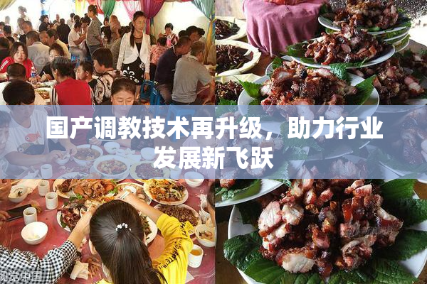 国产调教技术再升级，助力行业发展新飞跃