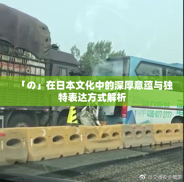 「の」在日本文化中的深厚意蕴与独特表达方式解析