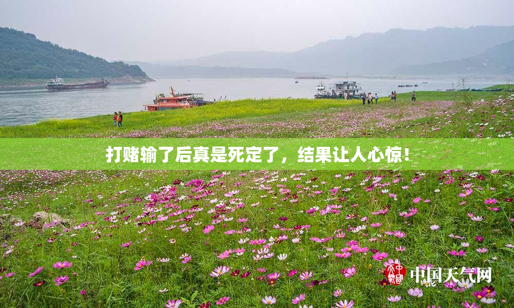 打赌输了后真是死定了，结果让人心惊！