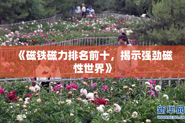 《磁铁磁力排名前十，揭示强劲磁性世界》