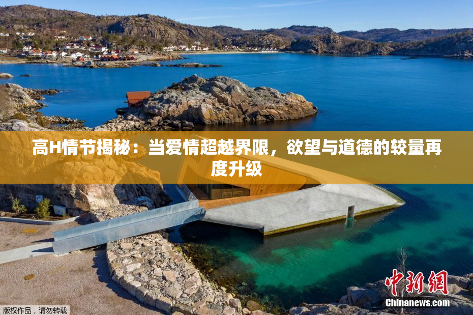 高H情节揭秘：当爱情超越界限，欲望与道德的较量再度升级