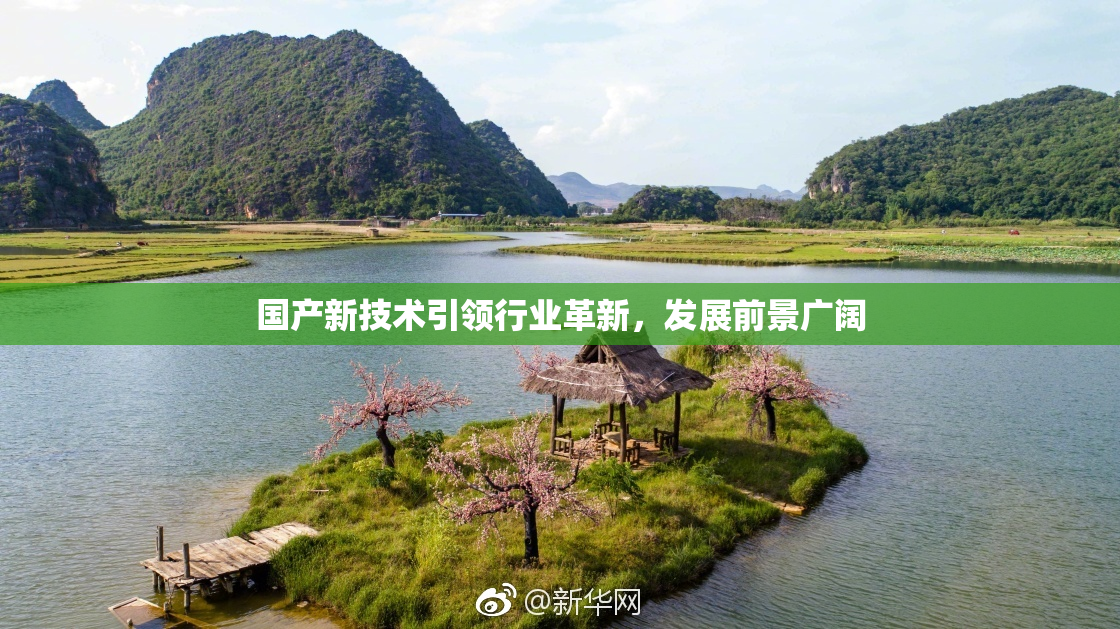 国产新技术引领行业革新，发展前景广阔
