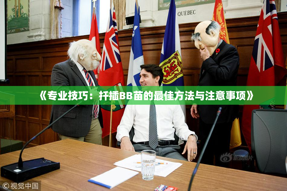 《专业技巧：扦插BB苗的最佳方法与注意事项》