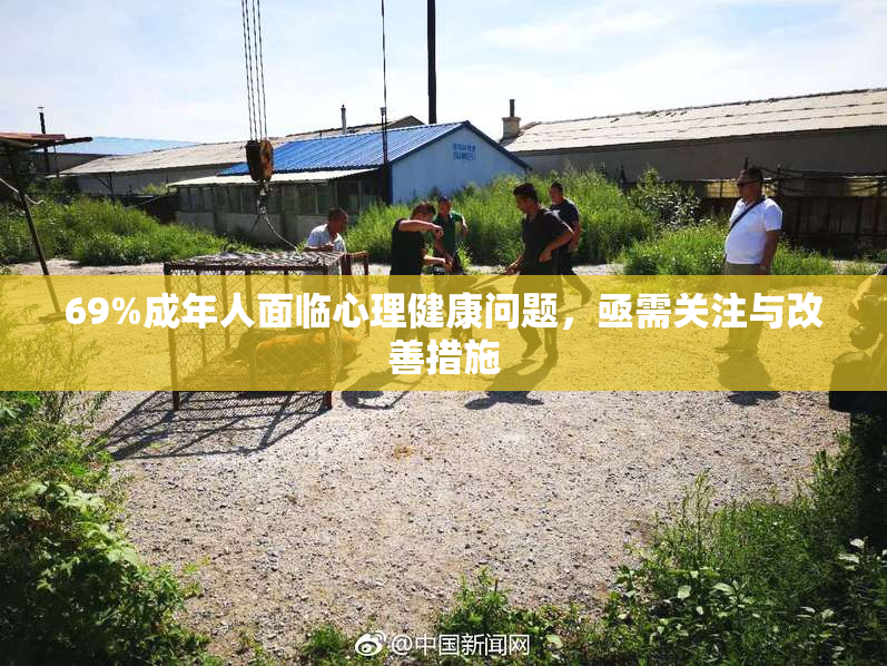 69%成年人面临心理健康问题，亟需关注与改善措施