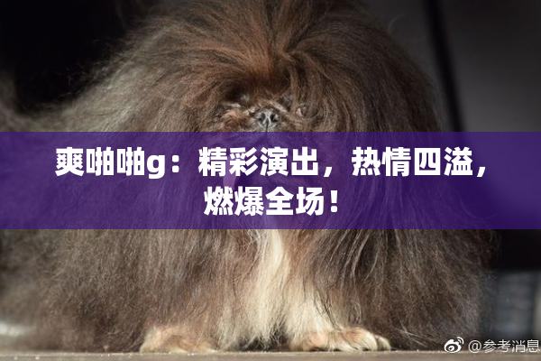 爽啪啪g：精彩演出，热情四溢，燃爆全场！