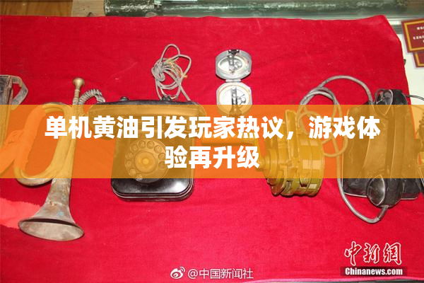 单机黄油引发玩家热议，游戏体验再升级