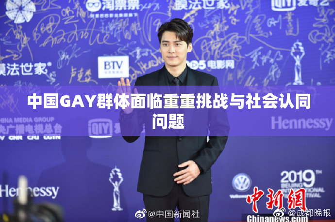 中国GAY群体面临重重挑战与社会认同问题