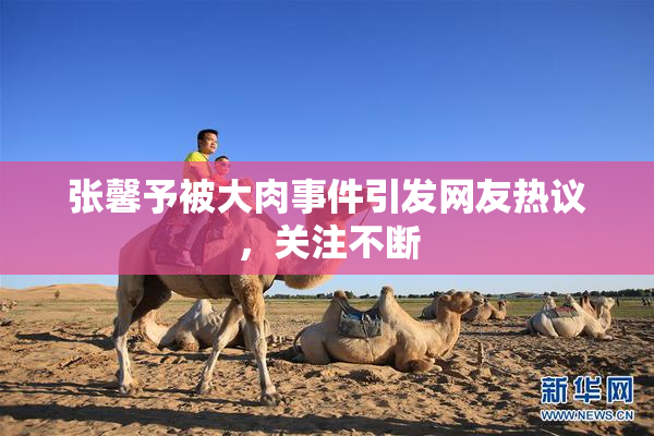 张馨予被大肉事件引发网友热议，关注不断