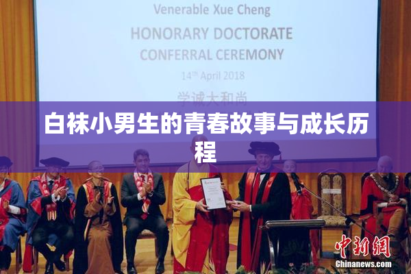 白袜小男生的青春故事与成长历程