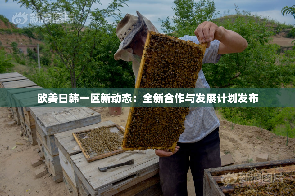 欧美日韩一区新动态：全新合作与发展计划发布