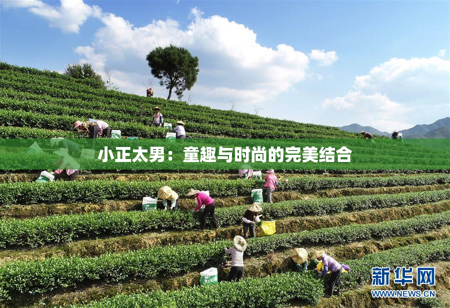 小正太男：童趣与时尚的完美结合
