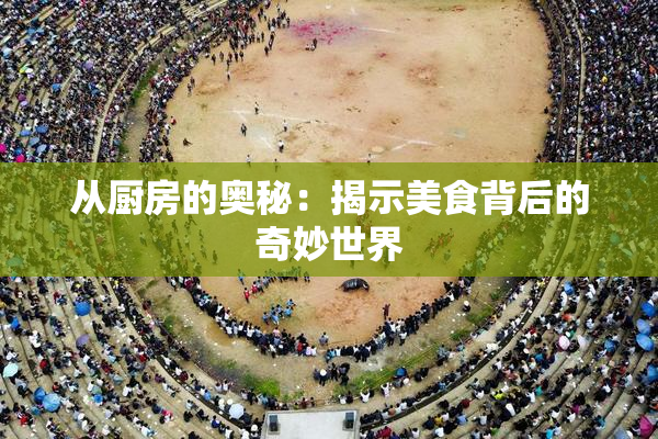 从厨房的奥秘：揭示美食背后的奇妙世界