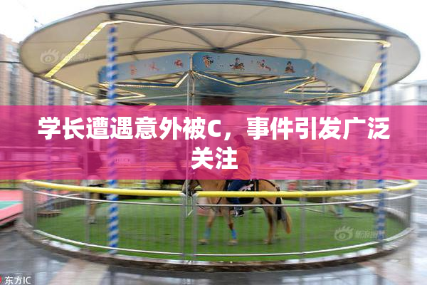 学长遭遇意外被C，事件引发广泛关注