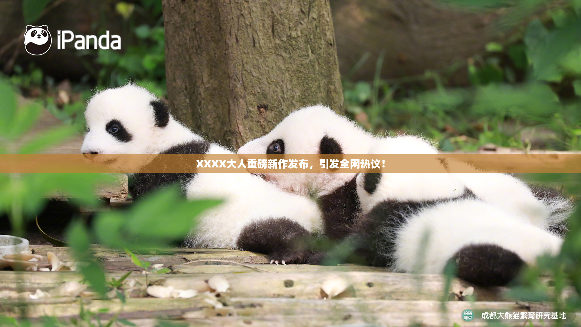 XXXX大人重磅新作发布，引发全网热议！