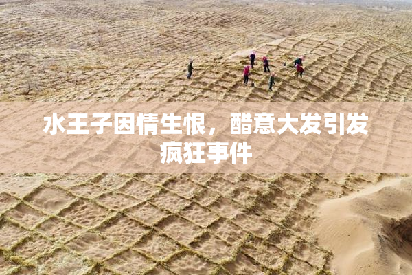 水王子因情生恨，醋意大发引发疯狂事件