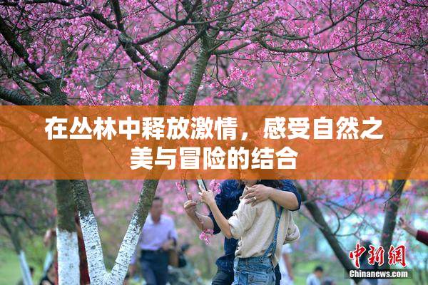 在丛林中释放激情，感受自然之美与冒险的结合