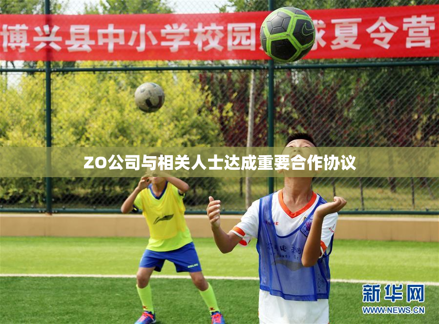 ZO公司与相关人士达成重要合作协议