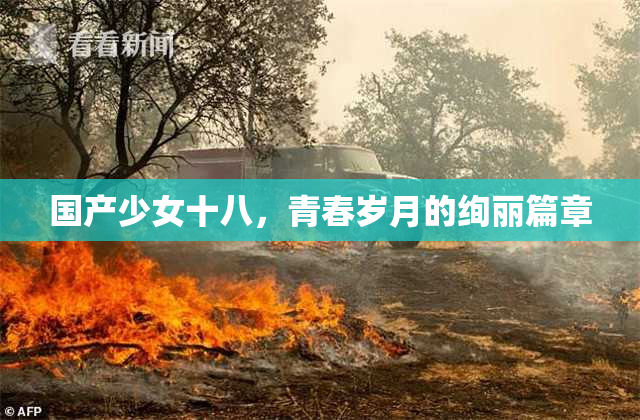 国产少女十八，青春岁月的绚丽篇章