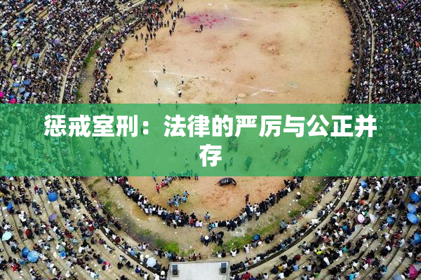 惩戒室刑：法律的严厉与公正并存