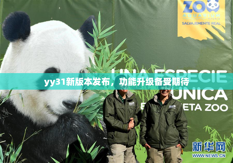 yy31新版本发布，功能升级备受期待