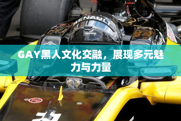 GAY黑人文化交融，展现多元魅力与力量