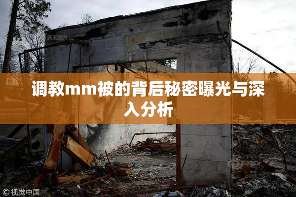 调教mm被的背后秘密曝光与深入分析