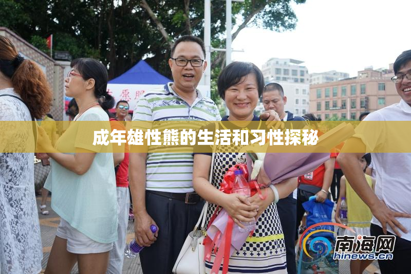 成年雄性熊的生活和习性探秘
