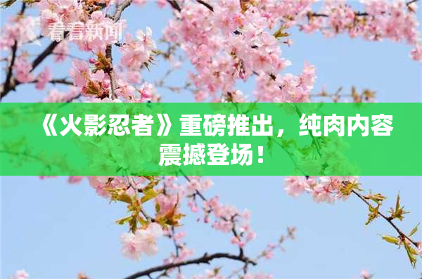 《火影忍者》重磅推出，纯肉内容震撼登场！