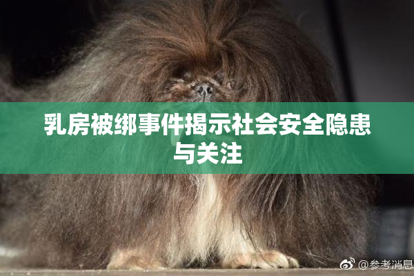 乳房被绑事件揭示社会安全隐患与关注