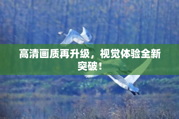 高清画质再升级，视觉体验全新突破！