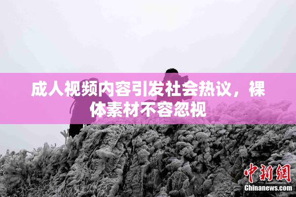 成人视频内容引发社会热议，裸体素材不容忽视