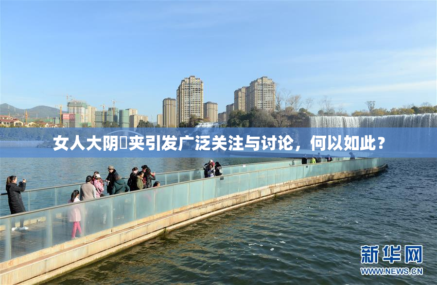 女人大阴脣夹引发广泛关注与讨论，何以如此？