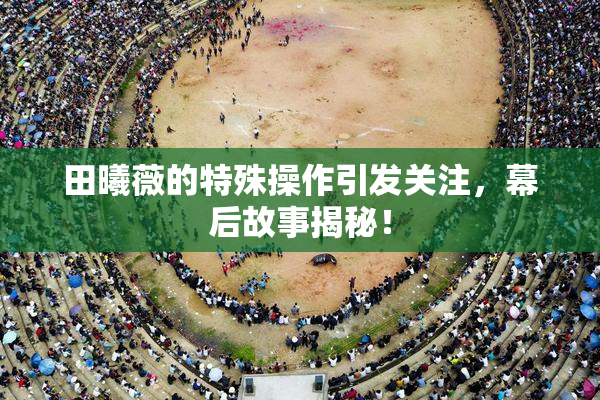 田曦薇的特殊操作引发关注，幕后故事揭秘！