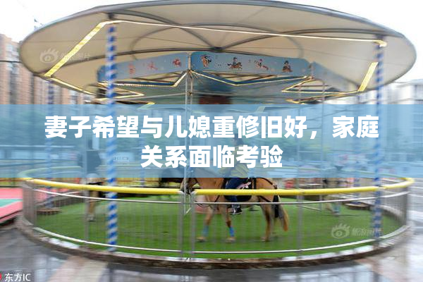 妻子希望与儿媳重修旧好，家庭关系面临考验