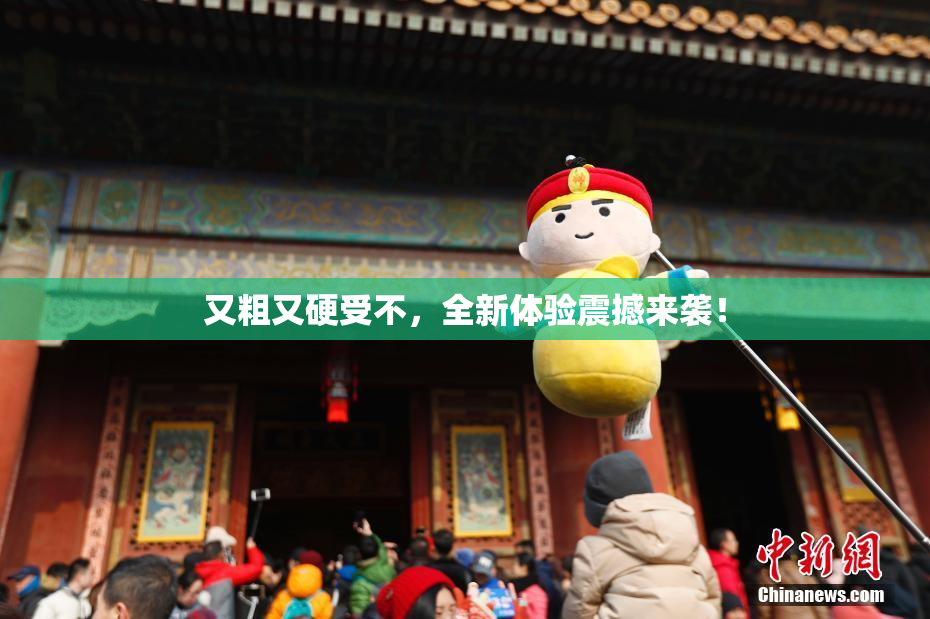 又粗又硬受不，全新体验震撼来袭！
